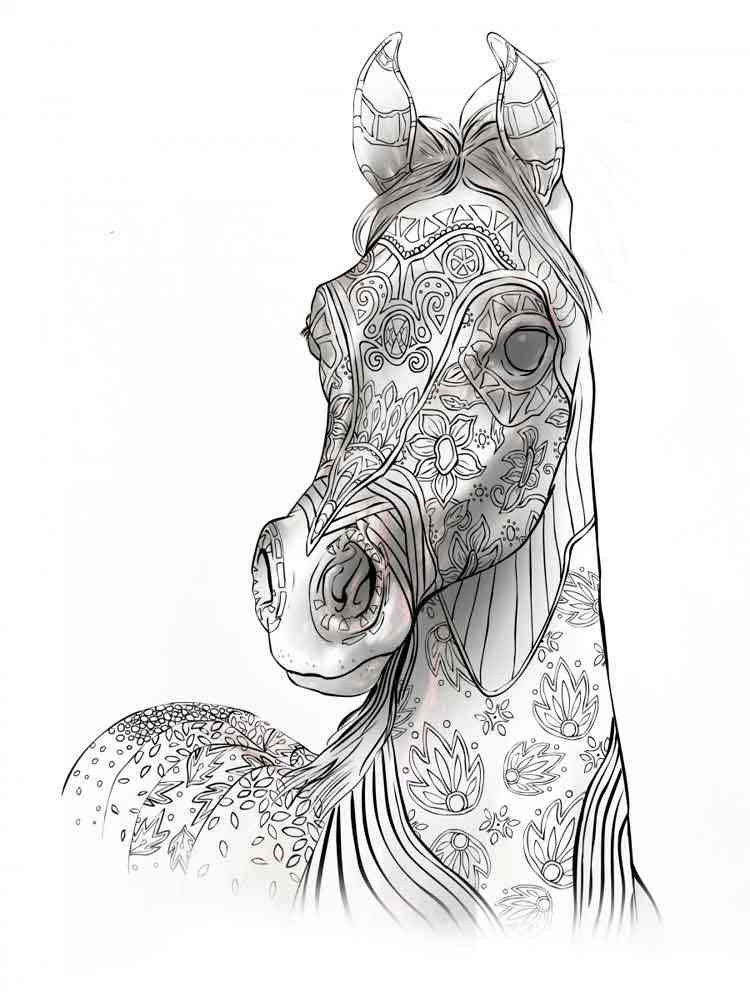 adult coloring pages animals 10