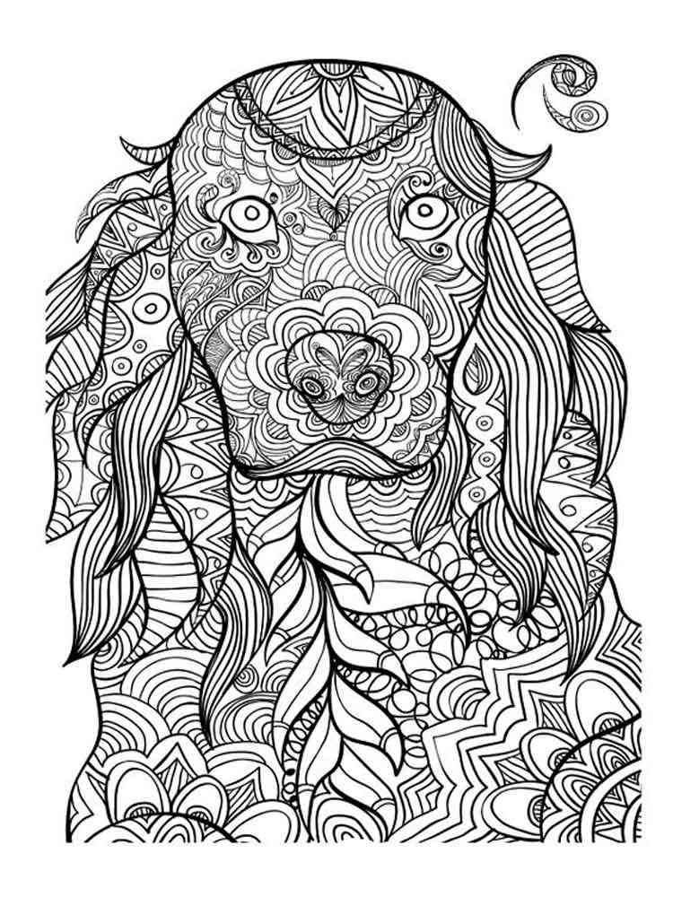 Animals coloring pages for Adults Free Printable Animals