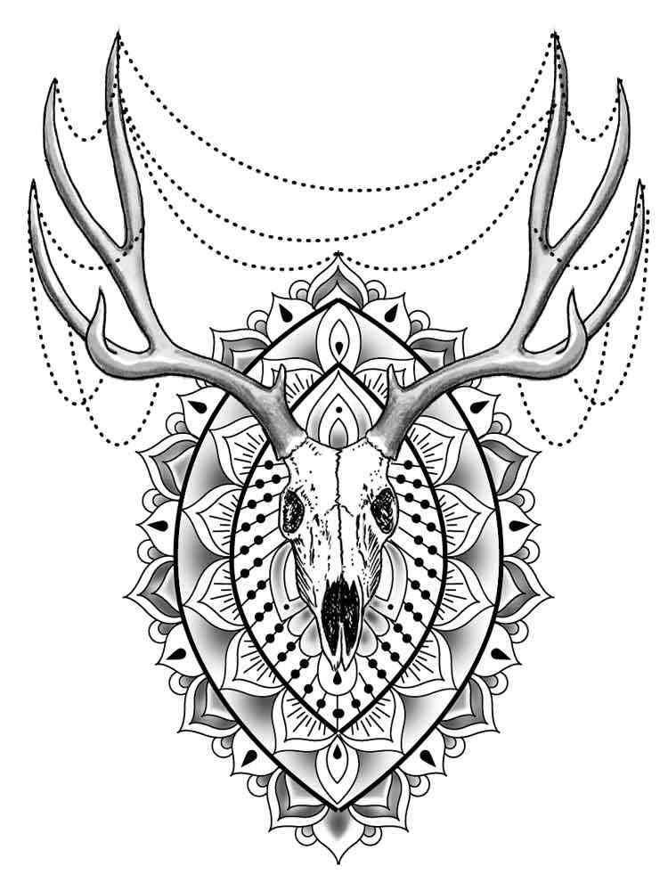 Animal mandala coloring pages for adult Free Printable