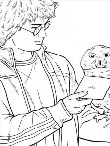 Harry Potter coloring page 21 - Free printable