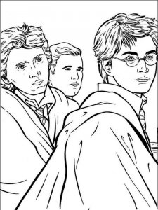 Harry Potter coloring page 23 - Free printable