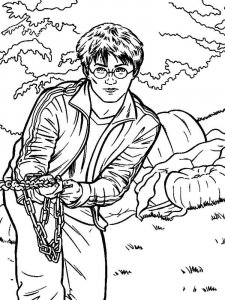 Harry Potter coloring page 37 - Free printable