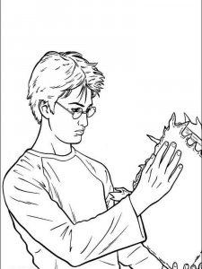 Harry Potter coloring page 6 - Free printable
