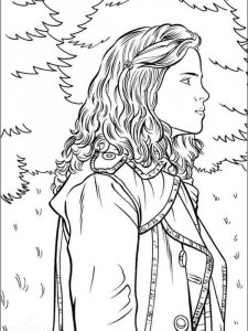 Harry Potter coloring page 8 - Free printable