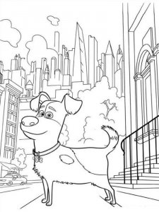 The Secret Life of Pets coloring page 17 - Free printable