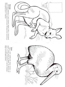 Australia coloring page 3 - Free printable