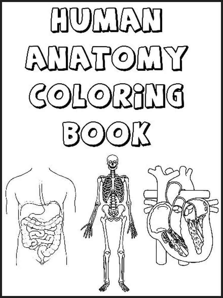 Human Body coloring pages. Free Printable Human Body