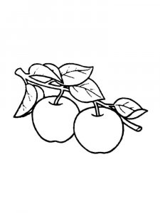Apple coloring page 11 - Free printable