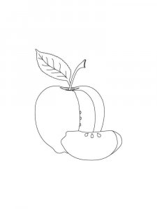Apple coloring page 13 - Free printable