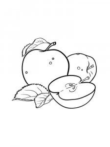 Apple coloring page 21 - Free printable
