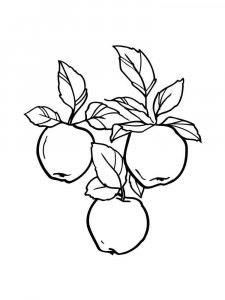 Apple coloring page 23 - Free printable