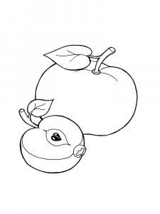 Apple coloring page 3 - Free printable