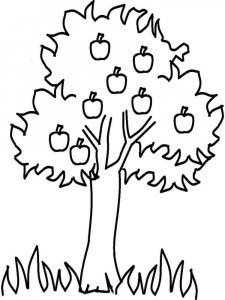 Apple coloring page 36 - Free printable