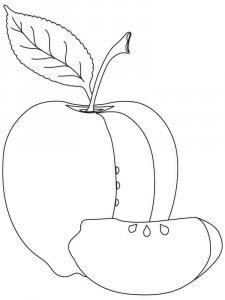 Apple coloring page 30 - Free printable