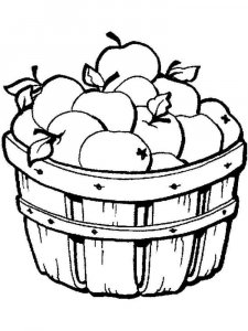 Apple coloring page 34 - Free printable