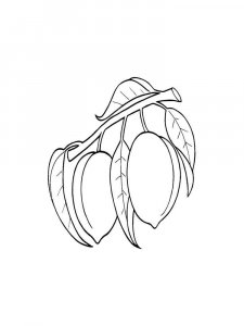 Apricot coloring page 13 - Free printable