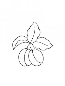 Apricot coloring page 18 - Free printable