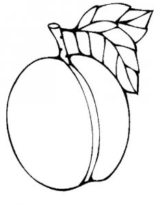 Apricot coloring page 5 - Free printable