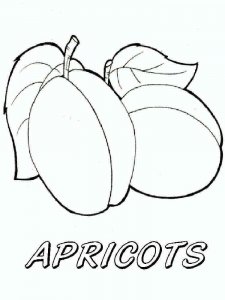 Apricot coloring page 6 - Free printable