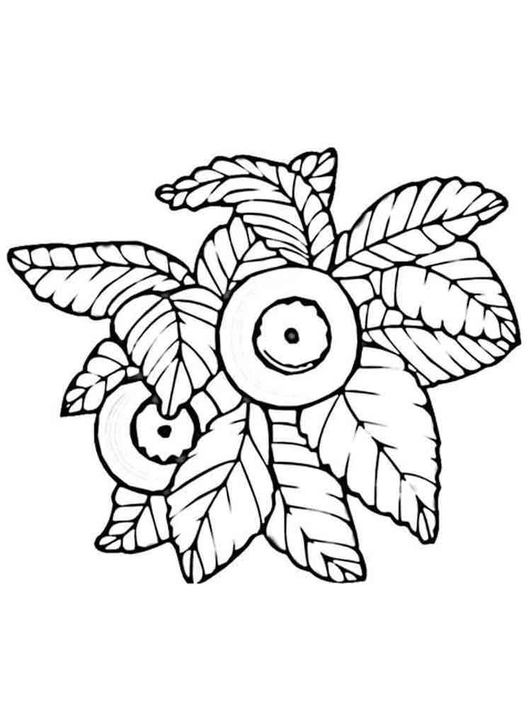 blueberry coloring pages - photo #35