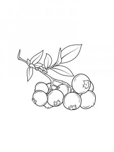 Blueberry coloring page 12 - Free printable