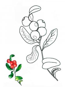 Cowberry coloring page 2 - Free printable