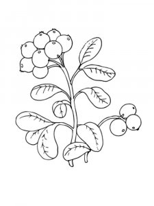 Cowberry coloring page 5 - Free printable