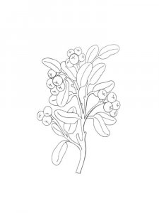 Cowberry coloring page 7 - Free printable