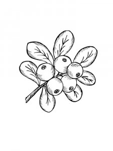 Cowberry coloring page 9 - Free printable