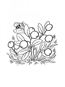 Cowberry coloring page 10 - Free printable