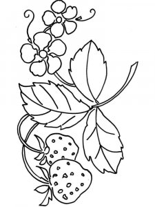 Strawberry coloring page 14 - Free printable