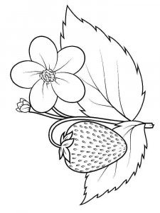 Strawberry coloring page 15 - Free printable
