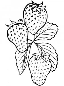 Strawberry coloring page 16 - Free printable