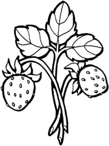 Strawberry coloring page 5 - Free printable