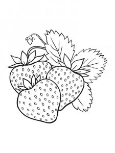 Strawberry coloring page 37 - Free printable