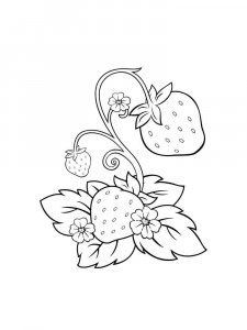 Strawberry coloring page 24 - Free printable