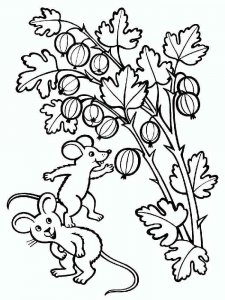 Gooseberry coloring page 1 - Free printable