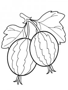 Gooseberry coloring page 2 - Free printable