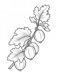Gooseberry coloring page 4 - Free printable