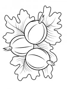 Gooseberry coloring page 6 - Free printable