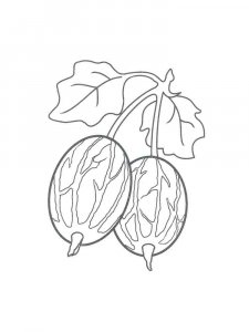 Gooseberry coloring page 14 - Free printable