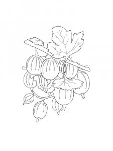 Gooseberry coloring page 17 - Free printable