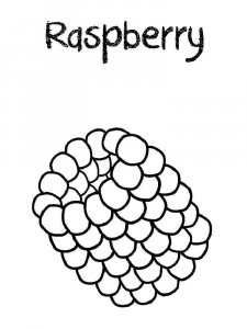 Raspberries coloring page 9 - Free printable
