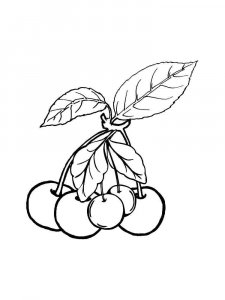 Cherry coloring page 20 - Free printable