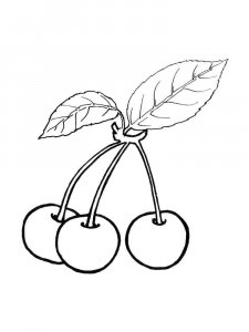 Cherry coloring page 6 - Free printable