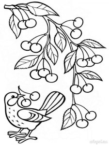 Cherry coloring page 21 - Free printable