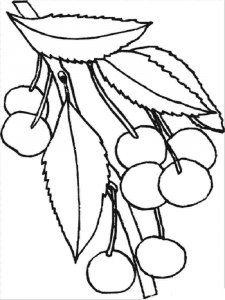 Cherry coloring page 31 - Free printable