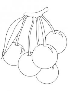Cherry coloring page 29 - Free printable