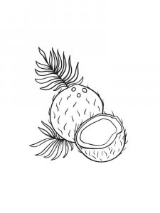 Coconut coloring page 13 - Free printable