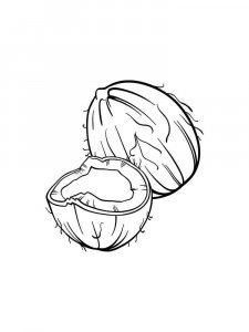 Coconut coloring page 16 - Free printable